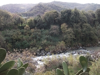 cantara gurne23122011 119
